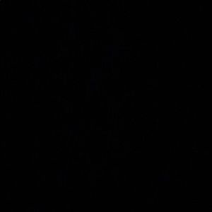 Meet your Posher, Avery